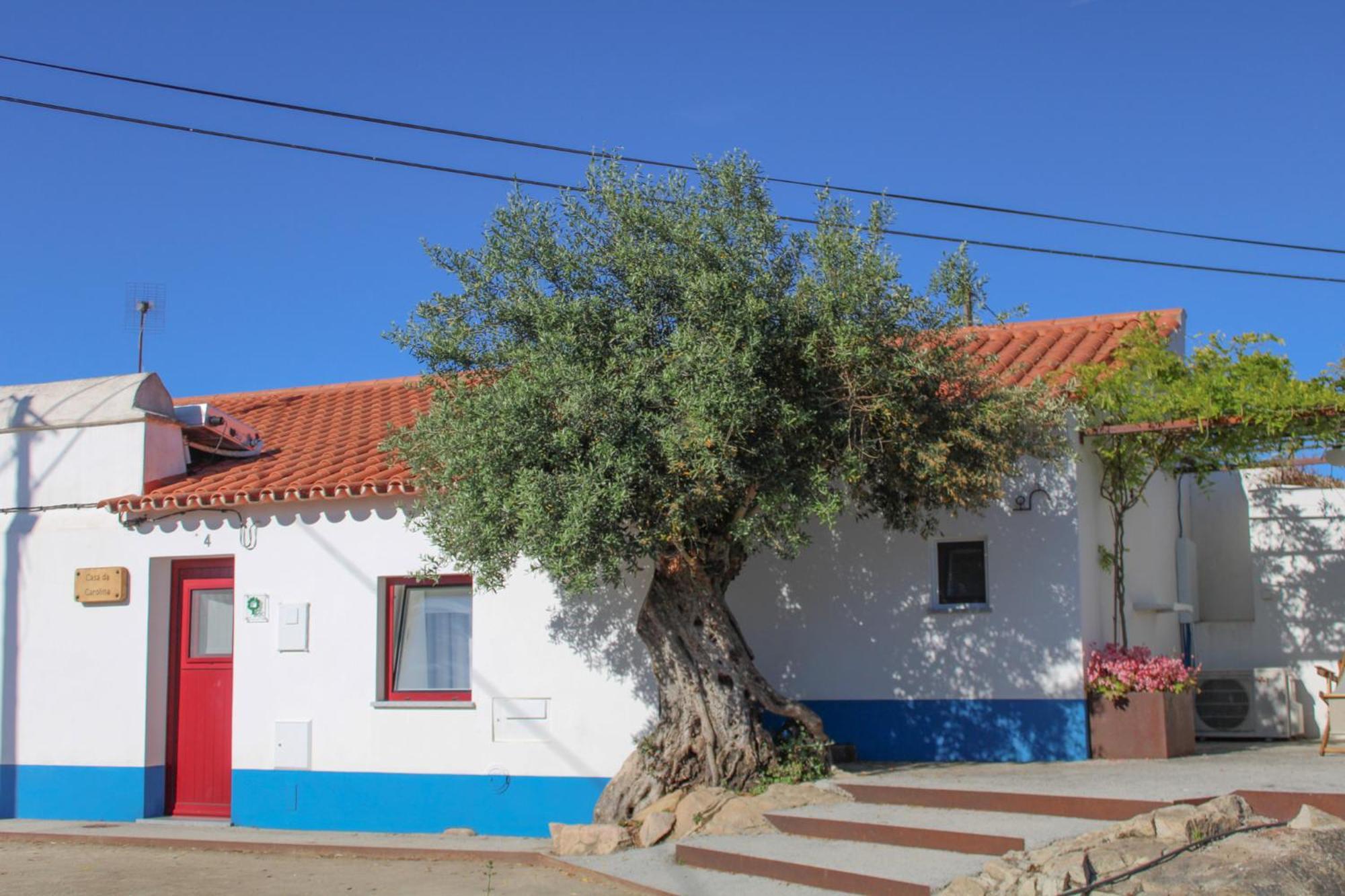Sao Bras Do Regedouro - Turismo Na Aldeia Villa Évora Eksteriør bilde